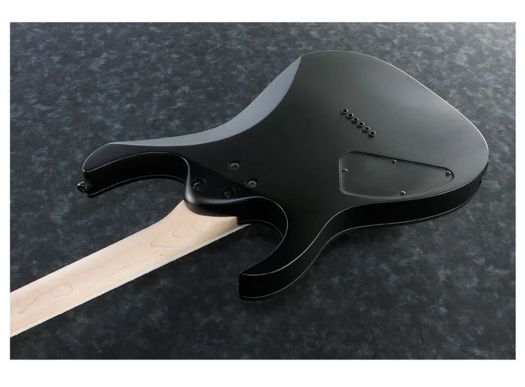 Ibanez RG421EX BKF elgitar 